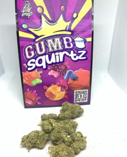 Gumbo | Squirtz