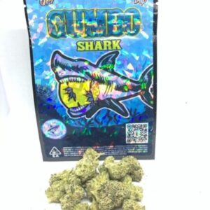 Gumbo | Shark – $250.00