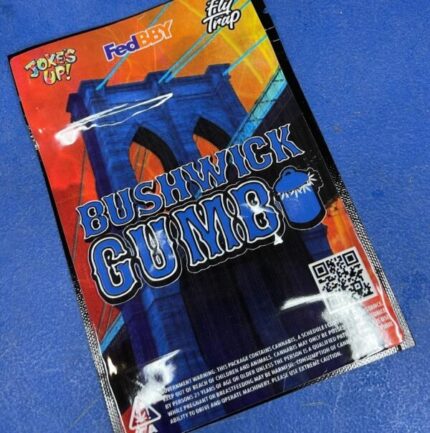 Gumbo | Bushwick